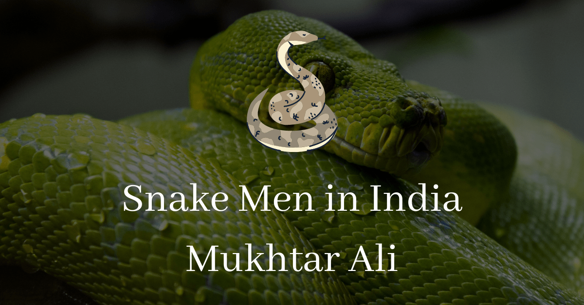 positive news, snake man in india